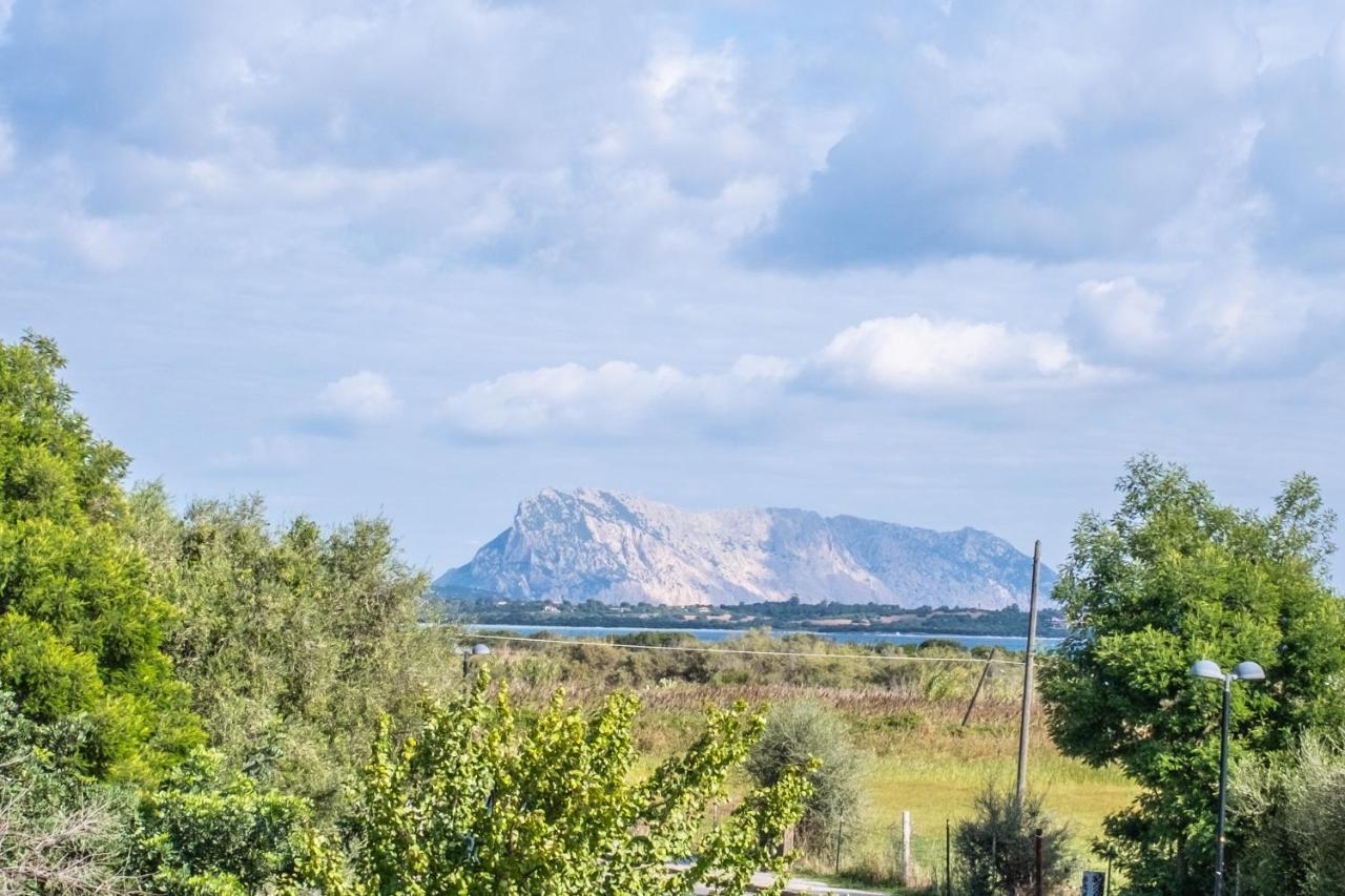Iss Travel, Pedra Rosa 2 Bedroom Apartments With Private Terrace And Air Conditioning San Teodoro  Esterno foto